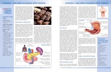 Kúra bez testování určená pomocí otevřených dotazů Dlouhodobě oblíbenou součástí kurzu jsou i dotazy zasílané do poradny.