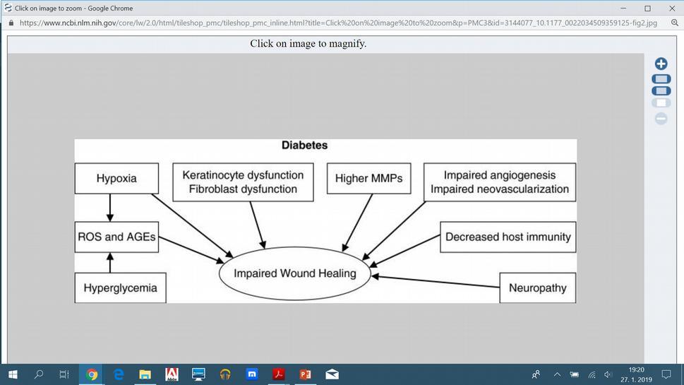 4. Diabetes hypoxie z poruchy perfuze a angiogeneze MMP= matrix metalloprotease, ROS= reactive oxygen species,