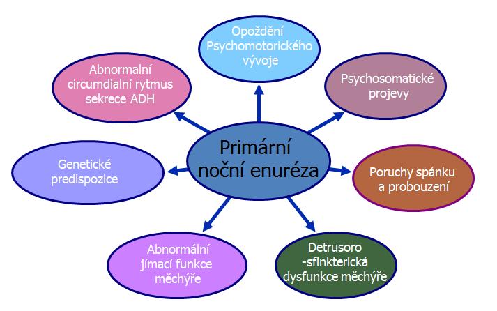 Příloha F Etiologie noční