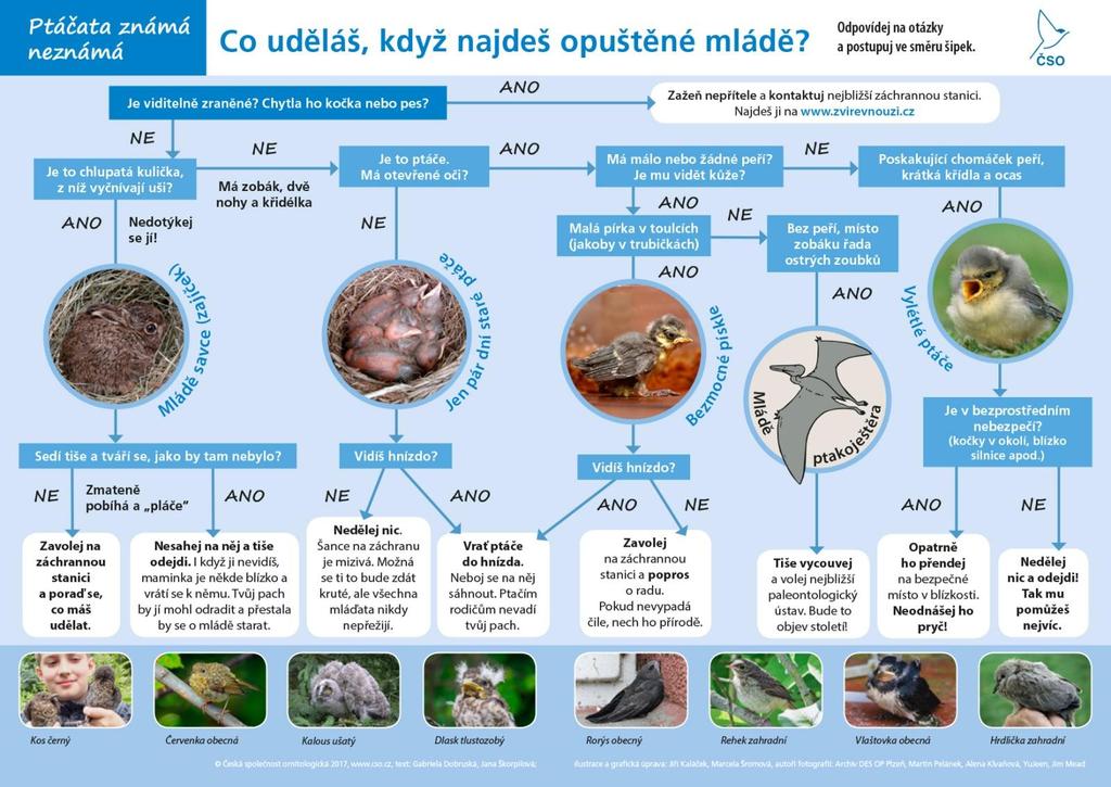 Cukrová mumie a tatínek webová stránka