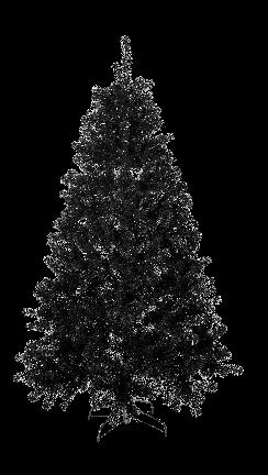 10220286 TREE OF THE MONTH