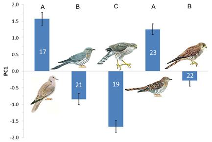 Trnka et al Biol