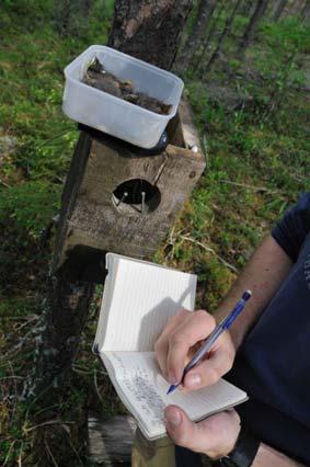 J Anim Ecol 2011 Metareplikace: fylogeneze čas prostor