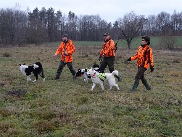 Poslušnost v lese také ovládá velmi dobře, stačí písknout a už se vrací zpátky ke mně, i když někdy to trvá déle podle toho, jak daleko je.