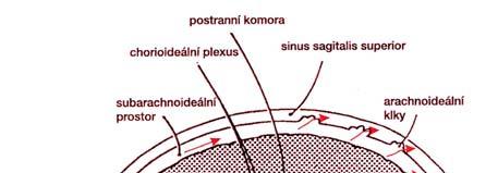 2. MOZKOMÍŠNÍ MOK (CEREBROSPINÁLNÍ TEKUTINA, LIKVOR) - CNS obklopen 3 membránami mening: - Dura mater pod ní subdurální