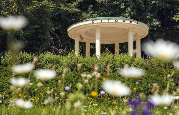 Největší lázeňskou společností v Luhačovicích je akciová společnost Lázně Luhačovice. Nabízí vám léčbu, relaxaci, odpočinek a wellness.