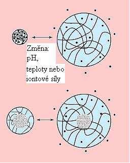 Obr. 7: Targeting léčiv z terapeutických