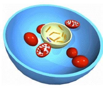 Kde DNA hledat?