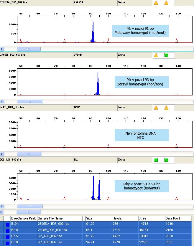 označení je použita barva ROX (červená) je analyzován kapilární elektroforézou. Z nemutované alely (wildtype) se amplifikuje produkt o velikosti 94 bp, mutovaná (deletovaná) alela má velikost 91 bp.
