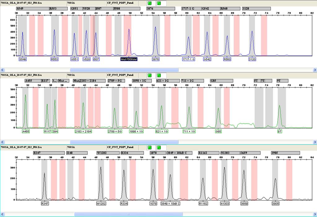 Analýza PCR produktů Po ligaci jsou označené DNA fragmenty separovány kapilární elektroforézou na genetickém analyzátoru ABI 3130xl.