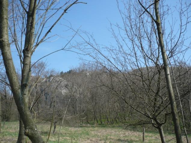 dosahování cílů ochrany 4 obrazit novými výhonky), (Danihelka a kol., 1995).
