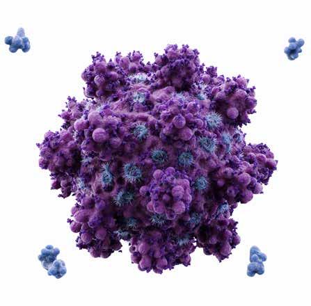 > INFEKČNÍ KLINIKA ODDĚLENÍ I. STŘED Klinické zaměření oddělení na dětské respirační a další infekce včetně neuroinfekcí.