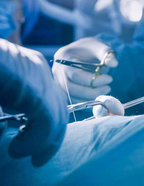 KLINIKA PLASTICKÉ CHIRURGIE přednostka: MUDr. Martin Molitor, PhD primář: MUDr. Lucie Kalinová, PhD.