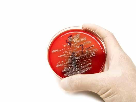 ODDĚLENÍ HYGIENY A EPIDEMIOLOGIE vedoucí: Mgr.