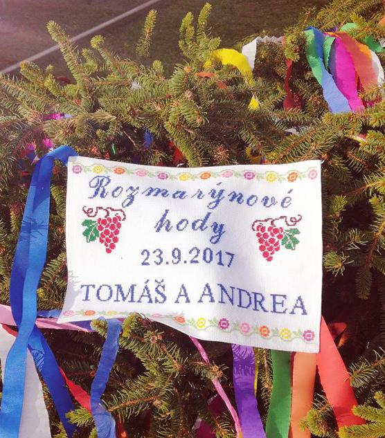 Máju stárci přivezli v dopoledních hodinách se zpěvem, při kterém je doprovázel s harmonikou pan Chaloupka z Polánky.