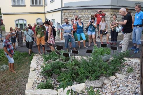 zajímavostí o dřevinách. Květiny a jejich pěstování hrají v našem životě důležitou roli. Nejvíce zřejmě oceňujeme jejich estetickou funkci.