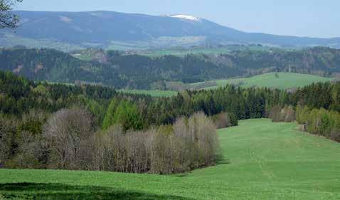 Včelařská praxe Šlechtění včel a chov matek v českých zemích V. Krajina neovlivněná intenzivním zemědělstvím, Králický Sněžník, fotografováno 30. 4.
