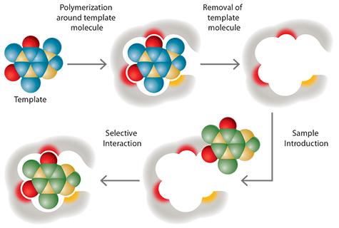Trendy ve vývoji sorbentů pro SPE SupelMIP SPE - Molekulárně vtištěné polymery Molecularly Imprinted Polymers Vlastnosti a výhody: Dosáhnout nižších detekčních limitů díky vynikající selektivitě