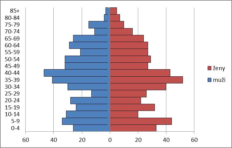 2.2 STRUKTURA OBYVATELSTVA Především díky nové výstavbě přichází do obce Radonice mladí lidé zakládající nové rodiny (tento trend kopíruje trend v celém Středočeském kraji).