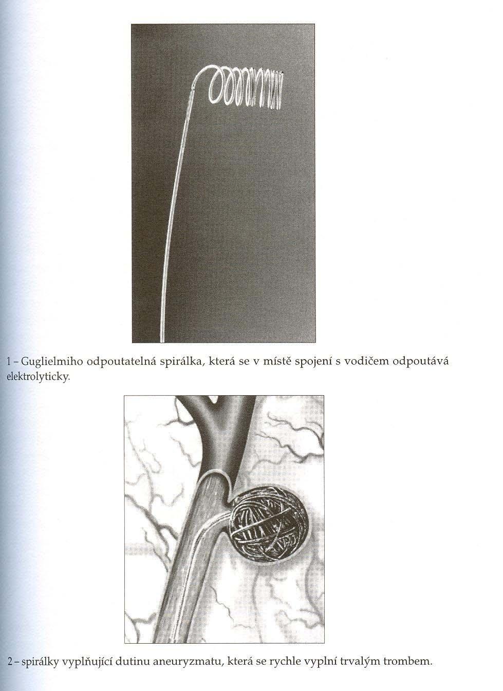 Příloha č.