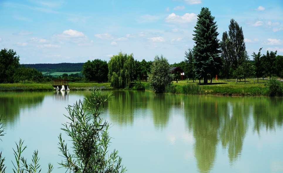 03 Biocentrum s vodní plochou Choťovice Leso-luční biocentrum BC 7 s vodní plochou s navazujícím biokoridorem BK 4.