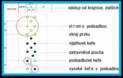 Terénní úpravy plochy nové výsadby byly provedeny tak, aby nasměrovaly povrchový odtok dešťové