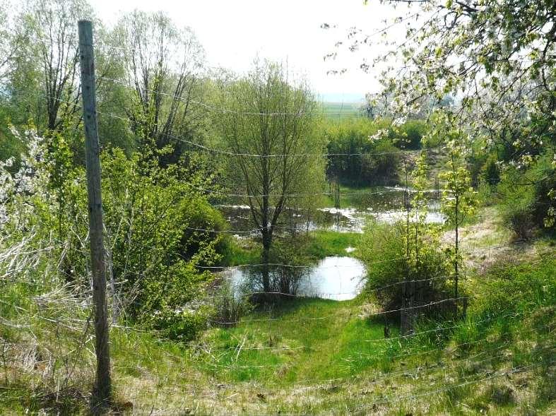 04 ŽP - 1