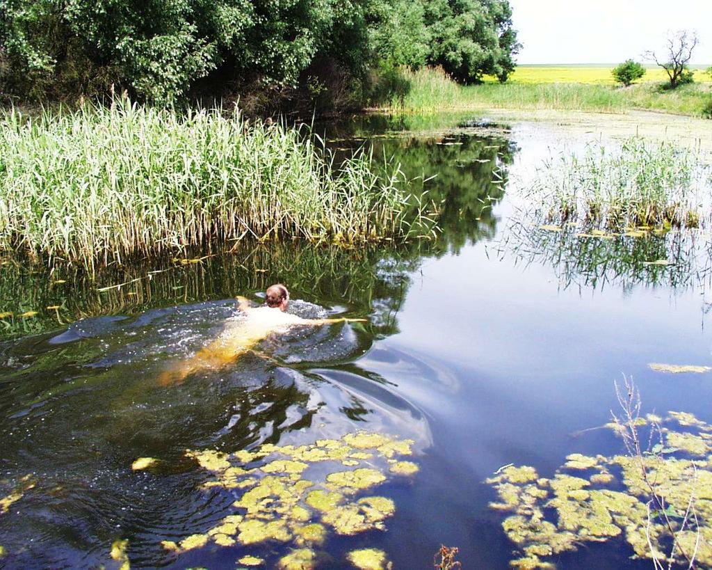 Příklad stávajícího biocentra do kterého je vybudován vodní prvek 05 Suchá retenční nádrž v bicentru Dubečno Nádrž byla realizována po zpracování komplexní pozemkové úpravy v roce 2004.