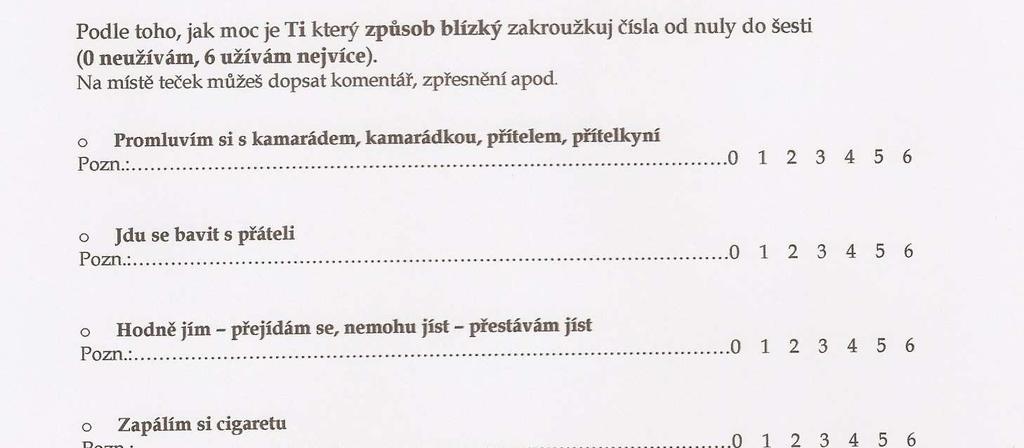 Příloha č.