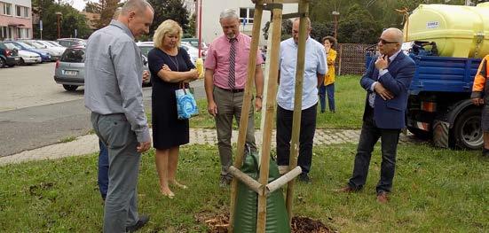 STRANA 3 INFORMACE Z ÚŘADU VÝSTAVBA NOVÉ VLAKOVÉ ZASTÁVKY NERATOVICE SÍDLIŠTĚ V minulém čísle zpravodaje jsme vás informovali, že v dohledné době dojde v našem městě k výrazné změně ve vlakové