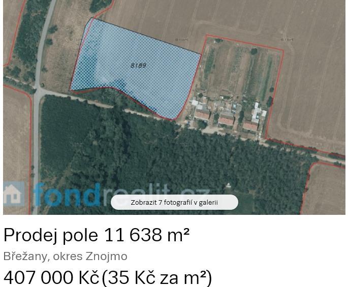 Znalecký posudek č. 2598... 97EX 1989/04 Posudek 5.
