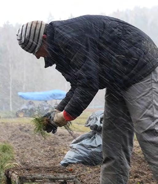 VÝKON FUNKCE ODBORNÉHO LESNÍHO HOSPODÁŘE SLUŽBA DROBNÝM VLASTNÍKŮM LESŮ ZPRÁVA O ČINNOSTI V ROCE 2018 V ROCE 2018 BYLO K VÝZKUMNÉMU ŘEŠENÍ PŘIJATO 8