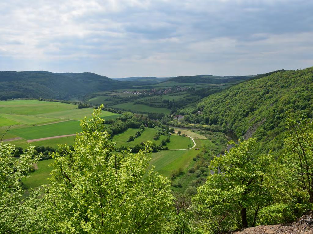 PODÍLÍME SE NA ZAKLÁDÁNÍ A ČINNOSTI LESNICKÝCH PARKŮ (KŘIVOKLÁTSKO, BEZDĚZ, PODKOMORSKÉ LESY) JSME