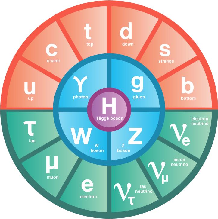 quantum chromodynamics (QCD). he character of the electromagnetic interaction is quite different from the strong force.