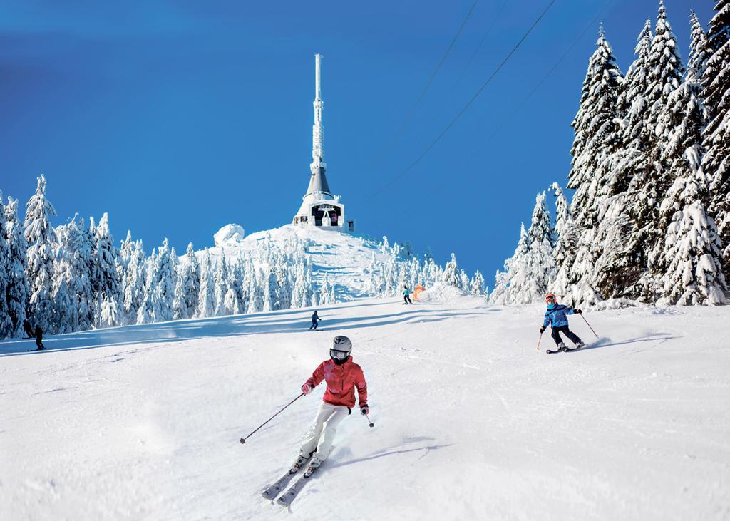Září 2019 21 Panoramata, příroda i běh kolem bílých tygrů S RunCzech tentokrát vyzkoušíte tenisky v lesním terénu, a aby to bylo ještě lepší, běžci budou překonávat značné převýšení.