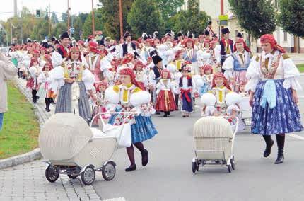 (PAS) Tady mají o stárky postarané na řadu let dopředu.