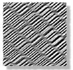 podobným způsobem jako bezdotyková AFM, jen hrot je pokryt ferromagnetickou vrstvou. Rozlišení je však asi desetkrát horší.