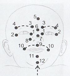 9. jamka mezi nosem a horním rtem, stimulací působíme ke špulení a sevření rtů; 10.