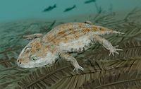 Microsauria ( ) - souš Colosteidae ( ) Eryopoidea ( )