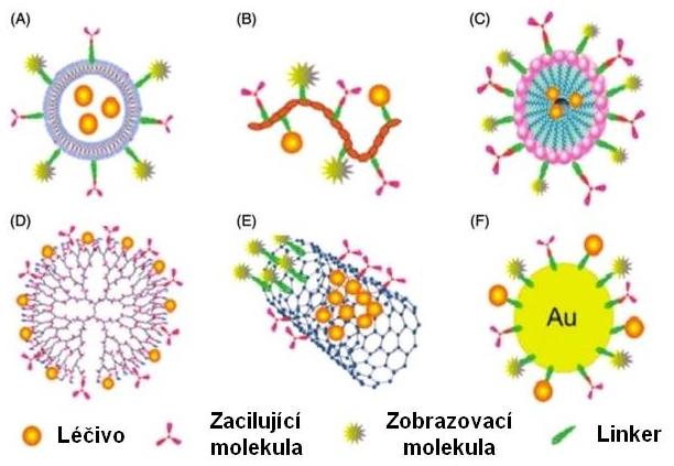 3 Základní typy nanočástic potenciálně využitelných k transportu protinádorových léčiv Pouze některá chemoterapeutika přenášená nanotransportéry již byla schválena a registrována FDA (Food and Drug