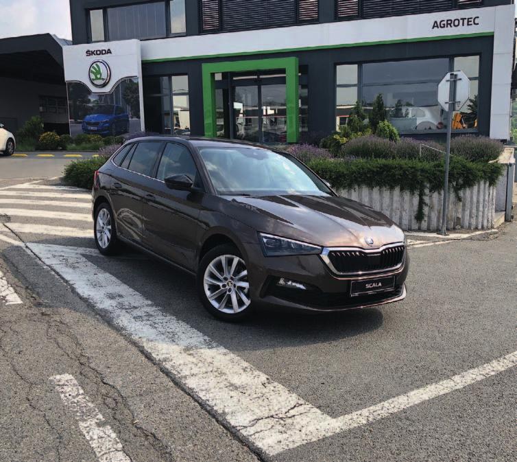 I N Z E R C E Pronajmu velký vinný sklep v Mikulově.