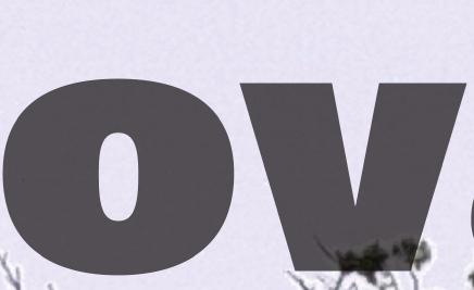 HODNOTY