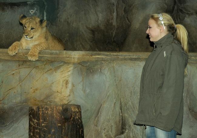 V současné době chová tedy olomoucká zoo pět mravenečníků čtyřprstých a celou tuto rodinu najdete v pavilonu Jižní Ameriky společně s dalšími obyvateli jihoamerického kontinentu.