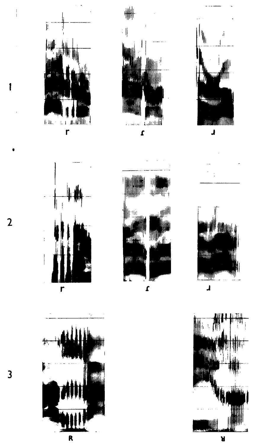 Obr. 15 Spektrogramy jednotlivých r-ových hlásek, řádek 1: alveolární vibranta (španělština), švih (španělština), aleveolární aproximanta (angličtina); řádek 2: alveolární vibranta (švédština), švih