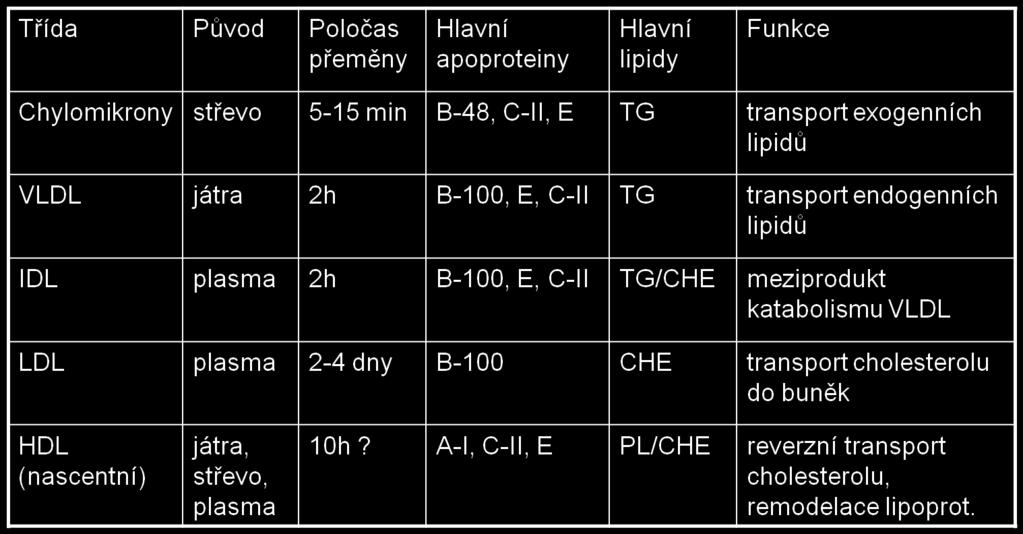 Tabulka 4: Přehled LP www.lf2.cuni.cz/ustavy/biochemie/vyuka/cholesterol.ppt (17. 4. 2013) 4.4.2 Vliv endotelu na patogenezi aterosklerózy Endotel, jak již bylo zmíněno, je tvořen jednou vrstvou plochých epiteliálních buněk, a tvoří nejvnitřnější vrstvu cévní stěny.