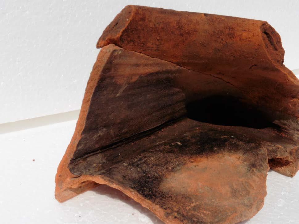 Vrstva vyplňovala nepravidelnou prohlubeň, byla silná cca 0 centimetrů u sběrné šachty až po cca 80 centimetrů pod zbořeným pavilonem staré školní budovy.