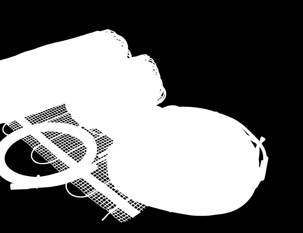 Program