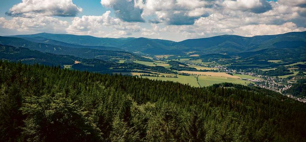 Kalorická hodnota jedné porce asi 200 gramů vařených brambor není vysoká, má asi 110 kalorií.