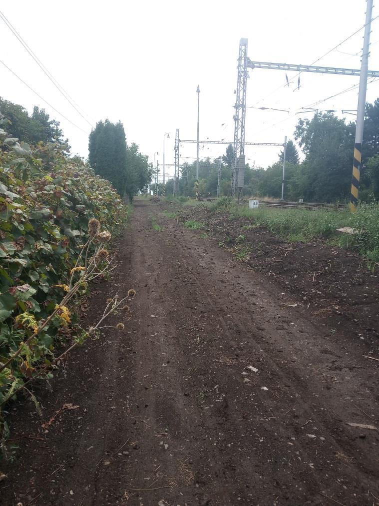 INFORMAČNÍ ZPRAVODAJ Č.