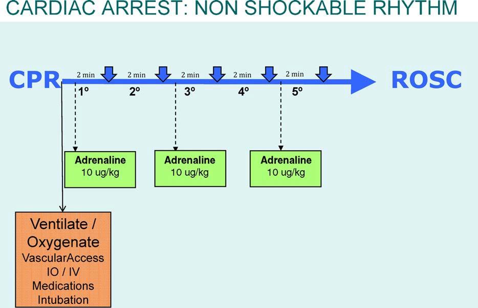 Léky adrenalin 1 mg iv / io PEA: ihned a každé 3 5 min (ob jeden 2min cyklus) VF/VF/VF: až po 3.